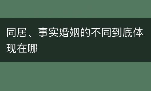 同居、事实婚姻的不同到底体现在哪