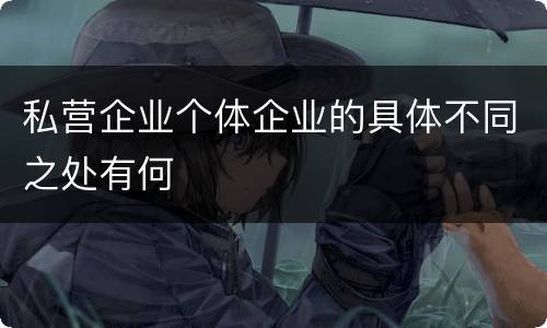 私营企业个体企业的具体不同之处有何