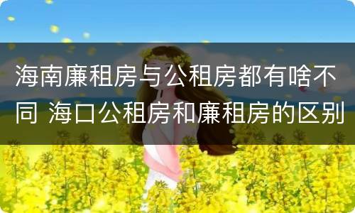 海南廉租房与公租房都有啥不同 海口公租房和廉租房的区别