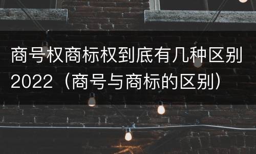 商号权商标权到底有几种区别2022（商号与商标的区别）