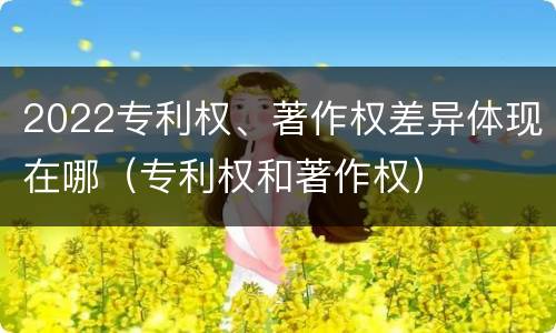2022专利权、著作权差异体现在哪（专利权和著作权）