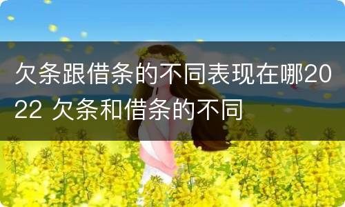 欠条跟借条的不同表现在哪2022 欠条和借条的不同