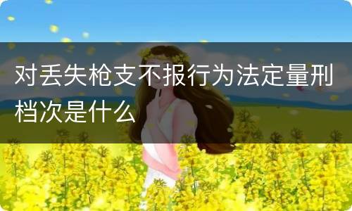 对丢失枪支不报行为法定量刑档次是什么