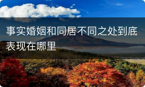 事实婚姻和同居不同之处到底表现在哪里
