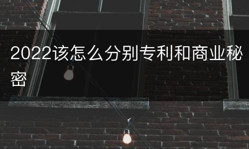 2022该怎么分别专利和商业秘密
