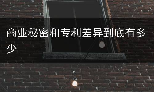 商业秘密和专利差异到底有多少