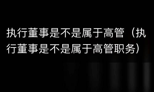 执行董事是不是属于高管（执行董事是不是属于高管职务）