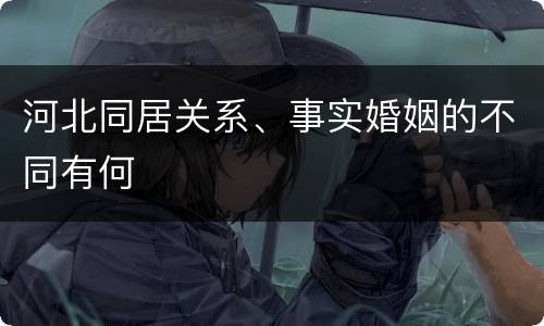 河北同居关系、事实婚姻的不同有何