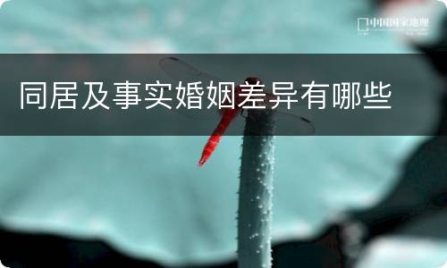 同居及事实婚姻差异有哪些