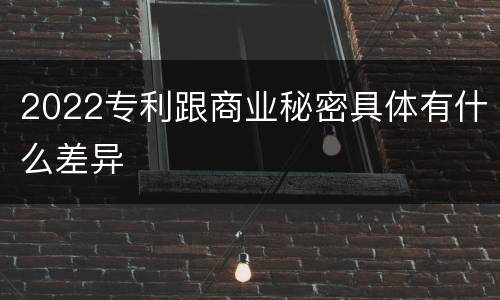 2022专利跟商业秘密具体有什么差异