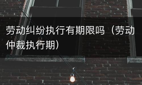 劳动纠纷执行有期限吗（劳动仲裁执行期）