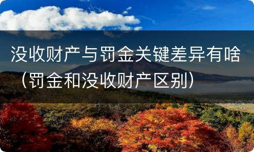 没收财产与罚金关键差异有啥（罚金和没收财产区别）