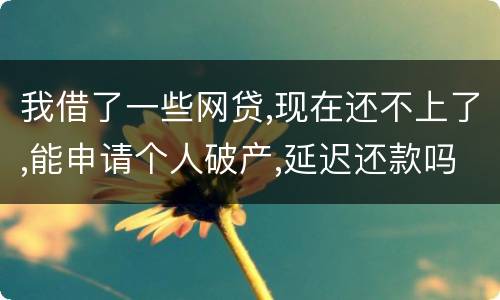 我借了一些网贷,现在还不上了,能申请个人破产,延迟还款吗