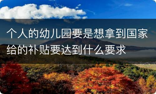 个人的幼儿园要是想拿到国家给的补贴要达到什么要求