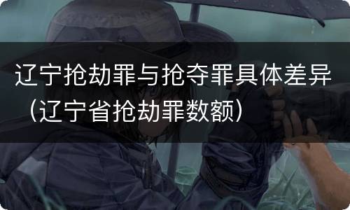 辽宁抢劫罪与抢夺罪具体差异（辽宁省抢劫罪数额）