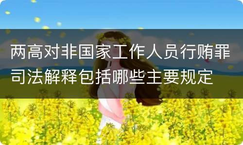 两高对非国家工作人员行贿罪司法解释包括哪些主要规定