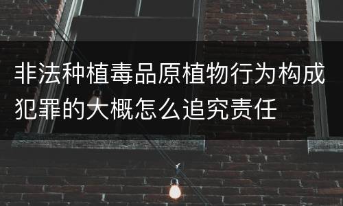 非法种植毒品原植物行为构成犯罪的大概怎么追究责任