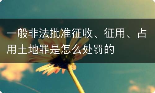 一般非法批准征收、征用、占用土地罪是怎么处罚的