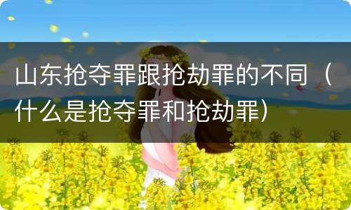 山东抢夺罪跟抢劫罪的不同（什么是抢夺罪和抢劫罪）