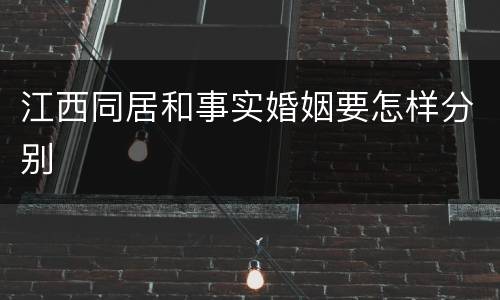江西同居和事实婚姻要怎样分别