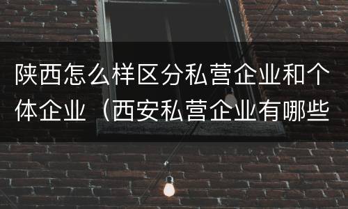 陕西怎么样区分私营企业和个体企业（西安私营企业有哪些）