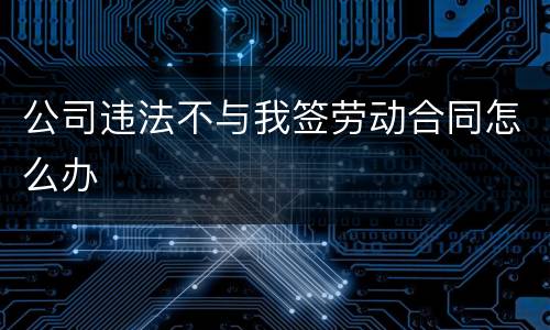 公司违法不与我签劳动合同怎么办