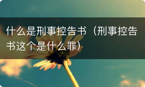 什么是刑事控告书（刑事控告书这个是什么罪）