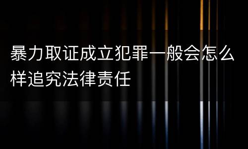 暴力取证成立犯罪一般会怎么样追究法律责任