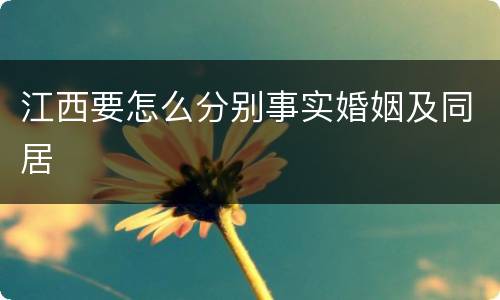 江西要怎么分别事实婚姻及同居