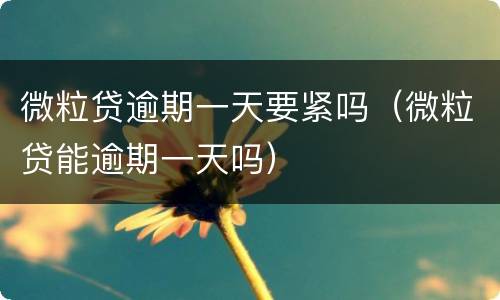 微粒贷逾期一天要紧吗（微粒贷能逾期一天吗）