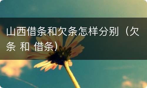 山西借条和欠条怎样分别（欠条 和 借条）