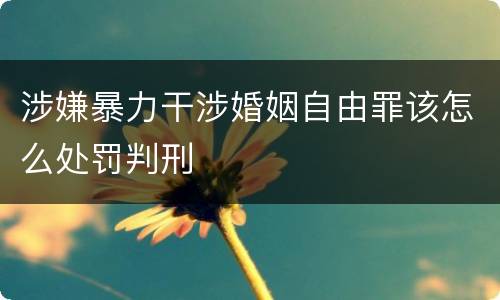 涉嫌暴力干涉婚姻自由罪该怎么处罚判刑