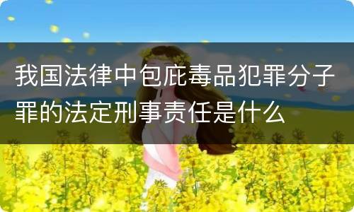 我国法律中包庇毒品犯罪分子罪的法定刑事责任是什么