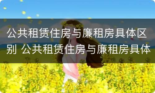 公共租赁住房与廉租房具体区别 公共租赁住房与廉租房具体区别在哪