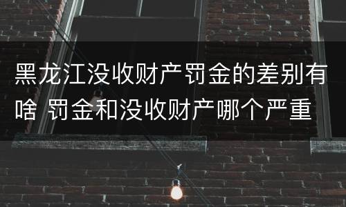 黑龙江没收财产罚金的差别有啥 罚金和没收财产哪个严重