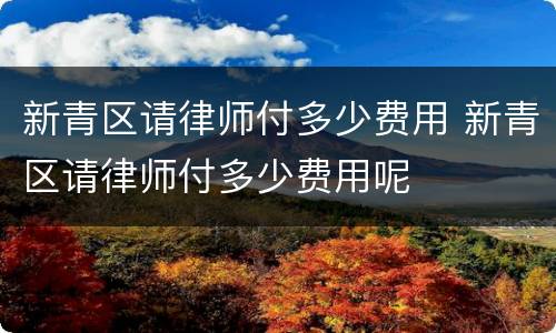 新青区请律师付多少费用 新青区请律师付多少费用呢