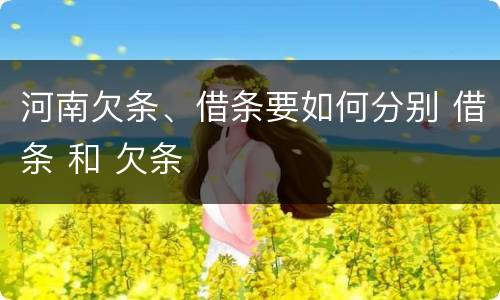 河南欠条、借条要如何分别 借条 和 欠条