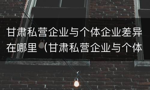 甘肃私营企业与个体企业差异在哪里（甘肃私营企业与个体企业差异在哪里查）
