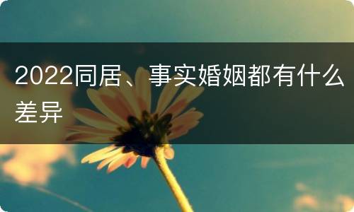 2022同居、事实婚姻都有什么差异