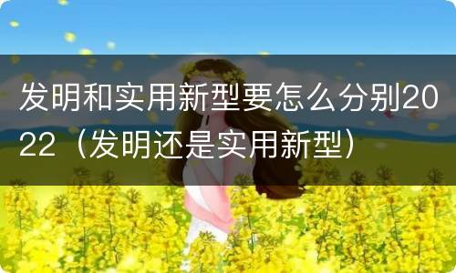 发明和实用新型要怎么分别2022（发明还是实用新型）