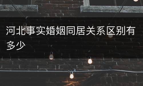 河北事实婚姻同居关系区别有多少