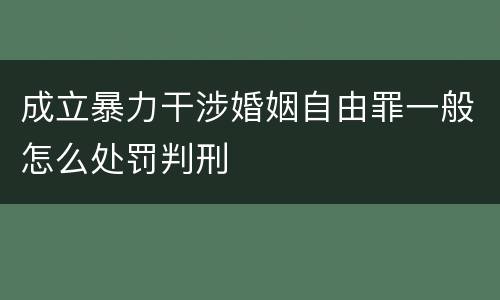 成立暴力干涉婚姻自由罪一般怎么处罚判刑