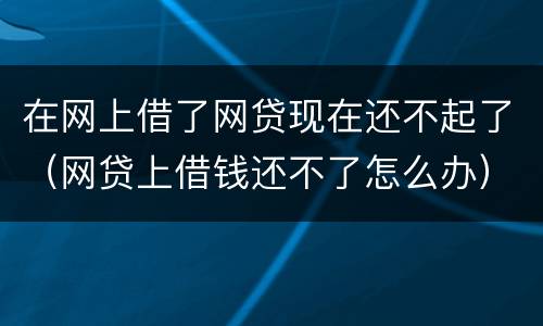 在网上借了网贷现在还不起了（网贷上借钱还不了怎么办）