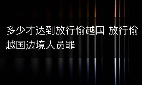 多少才达到放行偷越国 放行偷越国边境人员罪