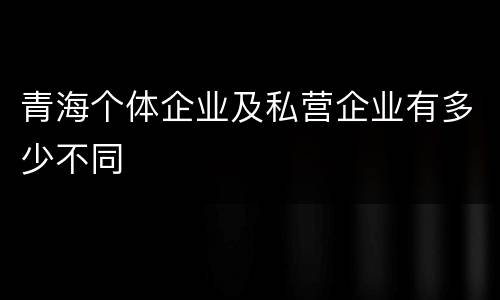 青海个体企业及私营企业有多少不同