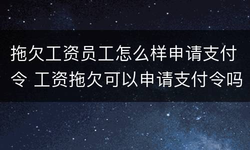 拖欠工资员工怎么样申请支付令 工资拖欠可以申请支付令吗