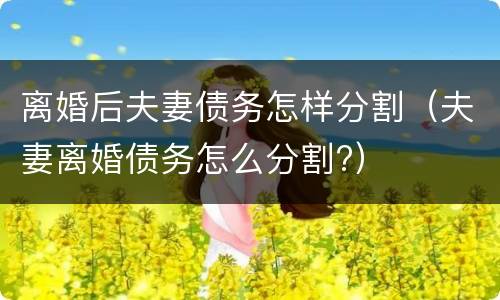 离婚后夫妻债务怎样分割（夫妻离婚债务怎么分割?）