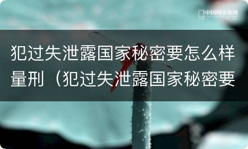 犯过失泄露国家秘密要怎么样量刑（犯过失泄露国家秘密要怎么样量刑呢）
