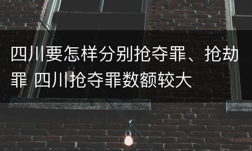 四川要怎样分别抢夺罪、抢劫罪 四川抢夺罪数额较大