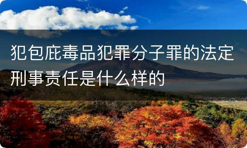 犯包庇毒品犯罪分子罪的法定刑事责任是什么样的